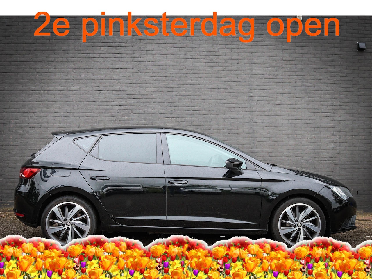 Seat Leon - 1.0 EcoTSI Reference Nieuw binnen; Jouw droomauto? - AutoWereld.nl