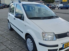 Fiat Panda - 1.2 ACTIVE