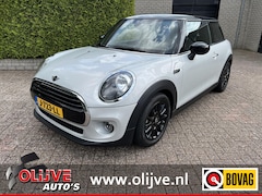 MINI Cooper - 1.5 Salt *Dealer onderhouden