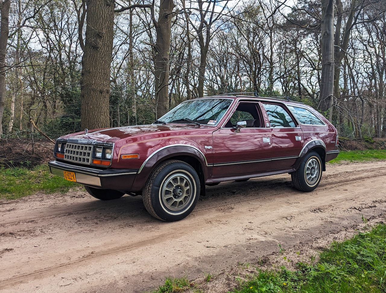 american-motors-eagle-4x4-4-2-wagon-amc-eagle.jpg