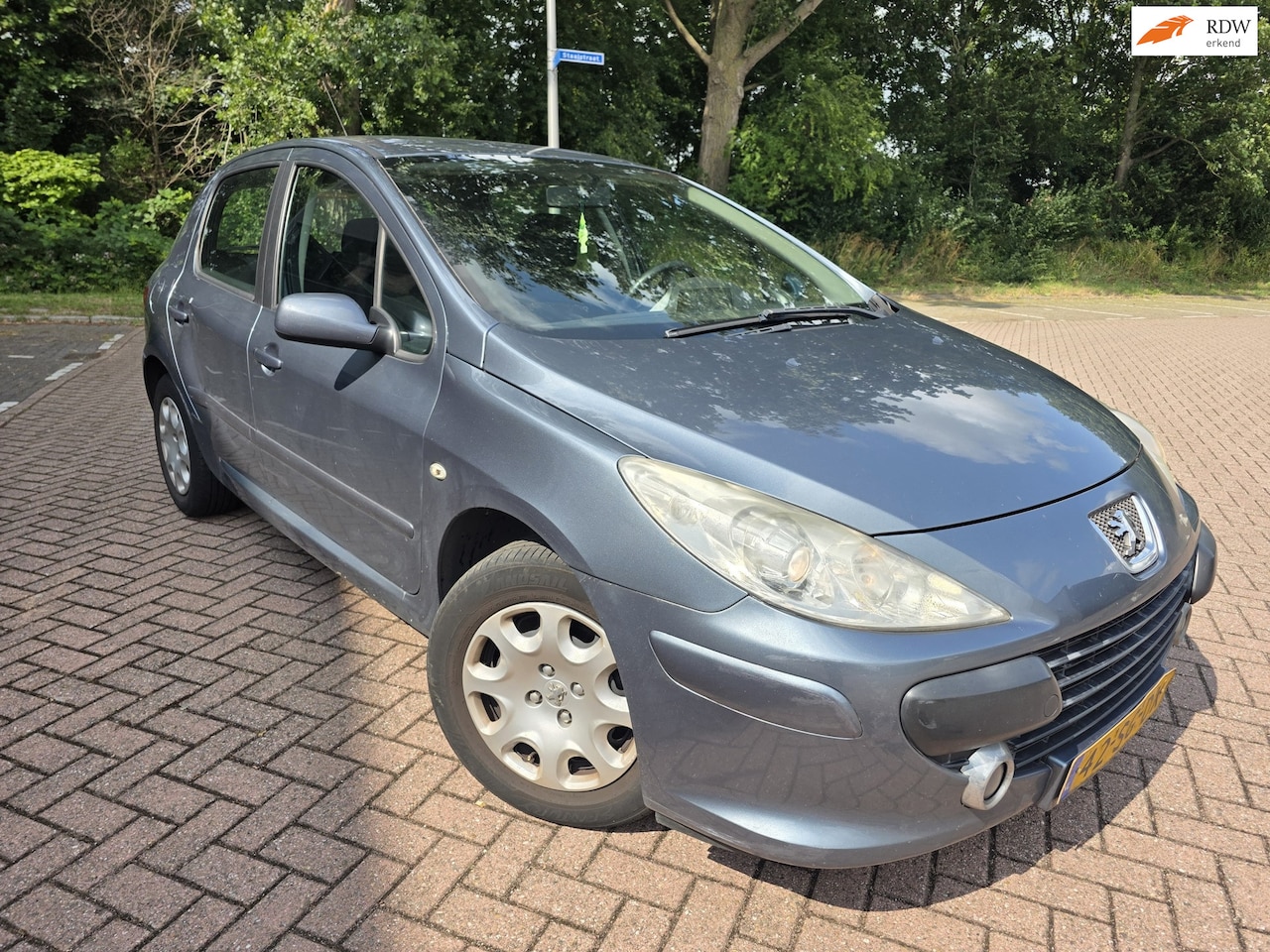 Peugeot 307 - 1.6-16V XS BAK is Hoorbar Loop of sloop - AutoWereld.nl
