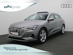 Audi e-tron - e-tron 50 quattro Launch edition plus 71 kWh 313 pk | Panoramadak | Leder | Geheugenstoel