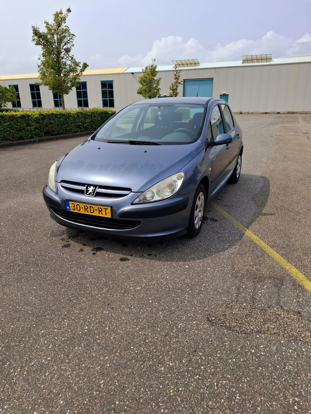 Peugeot 307 - 1.6-16V XS - AutoWereld.nl