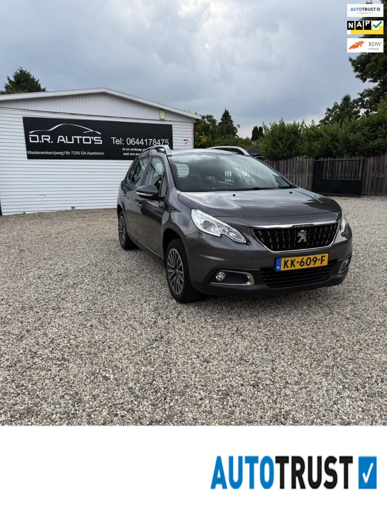 Peugeot 2008 - 1.2 PureTech Blue Lion 1.2 PureTech Blue Lion - AutoWereld.nl