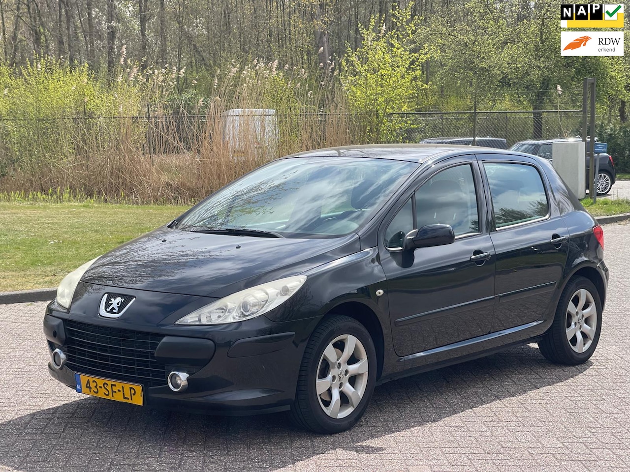 Peugeot 307 - 2.0-16V XS/AIRCO/CRUISE/TREKHAAK - AutoWereld.nl