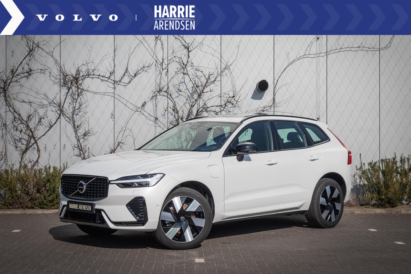 Volvo XC60 - T6 Plug-in hybrid AWD Ultimate Dark | Adaptieve Cruise Control | 360 Graden camera | Trekh - AutoWereld.nl