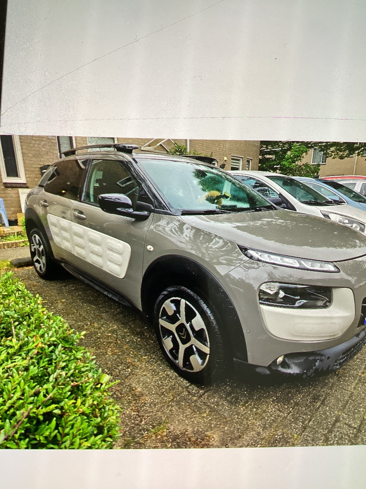 Citroën C4 Cactus - 1.2 PureTech Shine - AutoWereld.nl