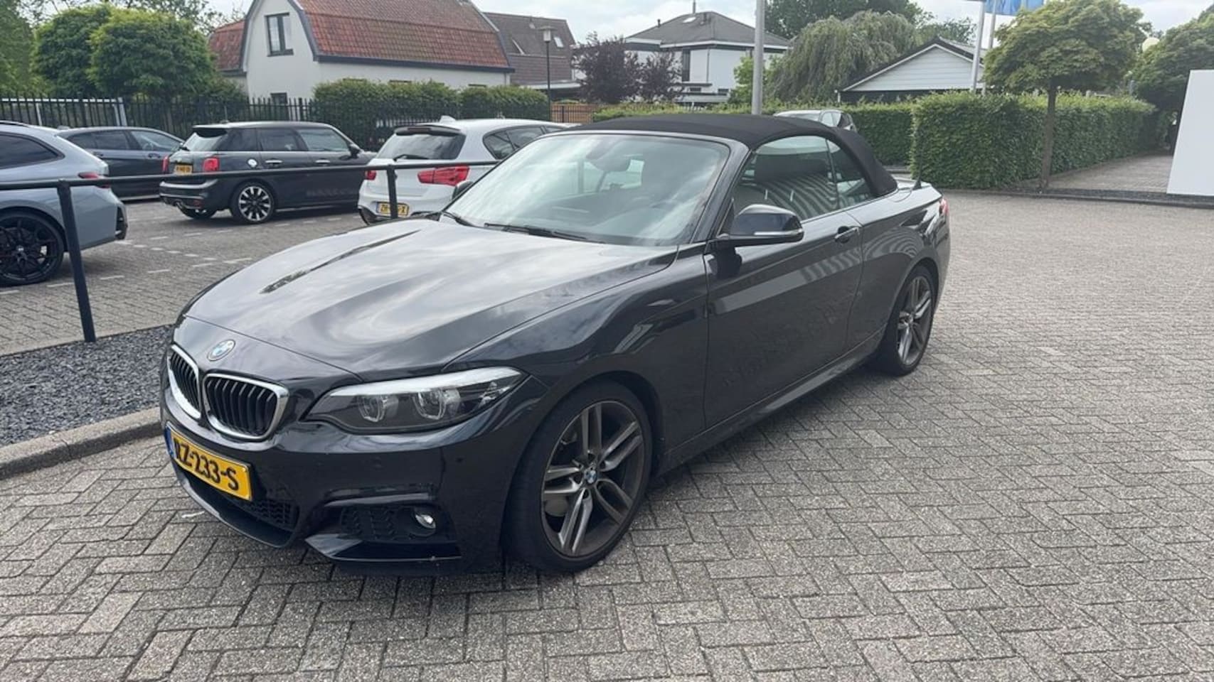BMW 2-serie Cabrio - 220i High Executive | Alarm klasse 3 | Electronic climate controle | Lichtmetalen velgen 1 - AutoWereld.nl