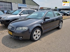 Audi A3 - 1.6 FSI Ambition Clima Bj:2004 NAP