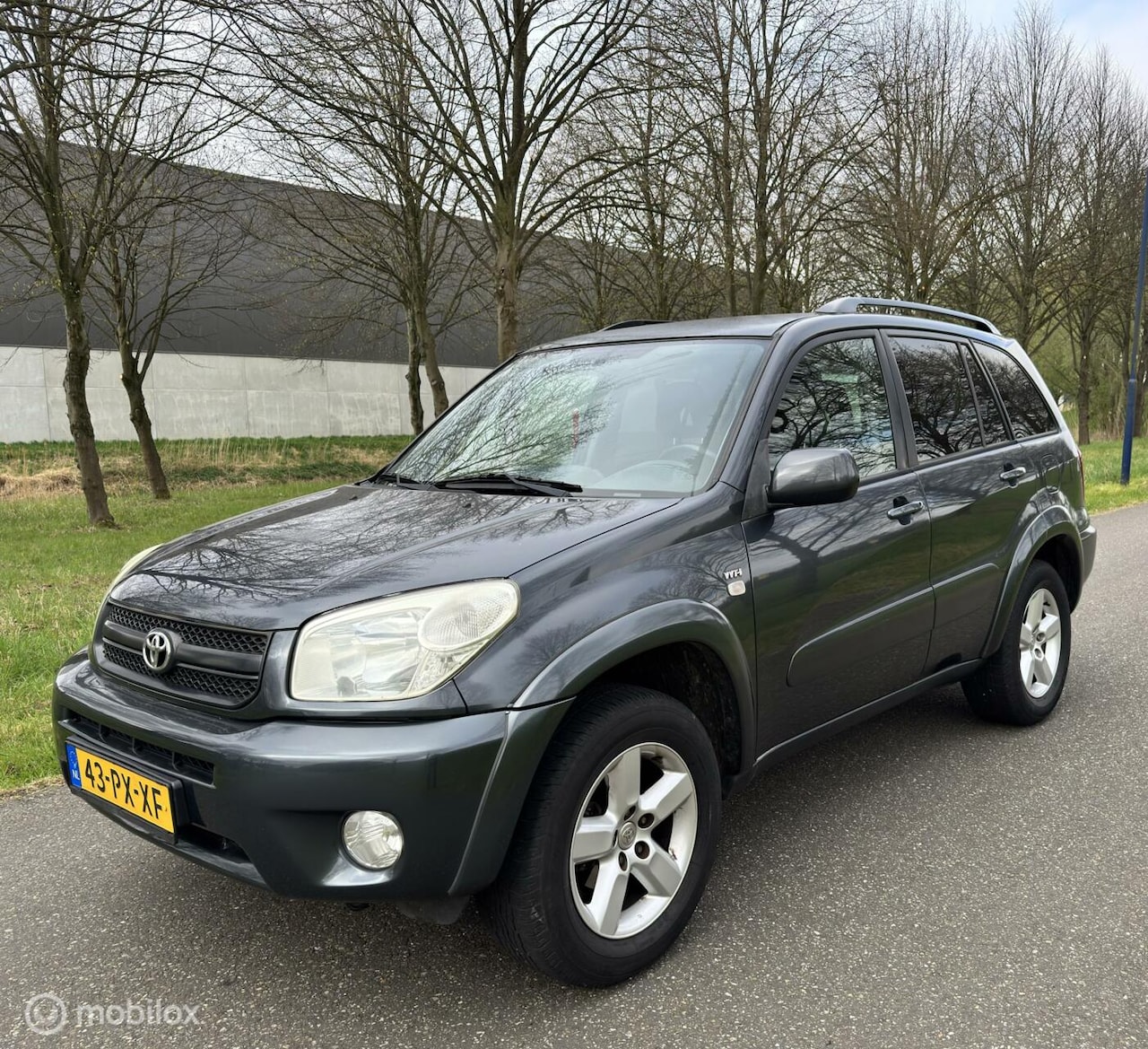 Toyota RAV4 - 2.0-16 VVT-i Special Edition*4X4*AUTOMAAT*CRUISE - AutoWereld.nl