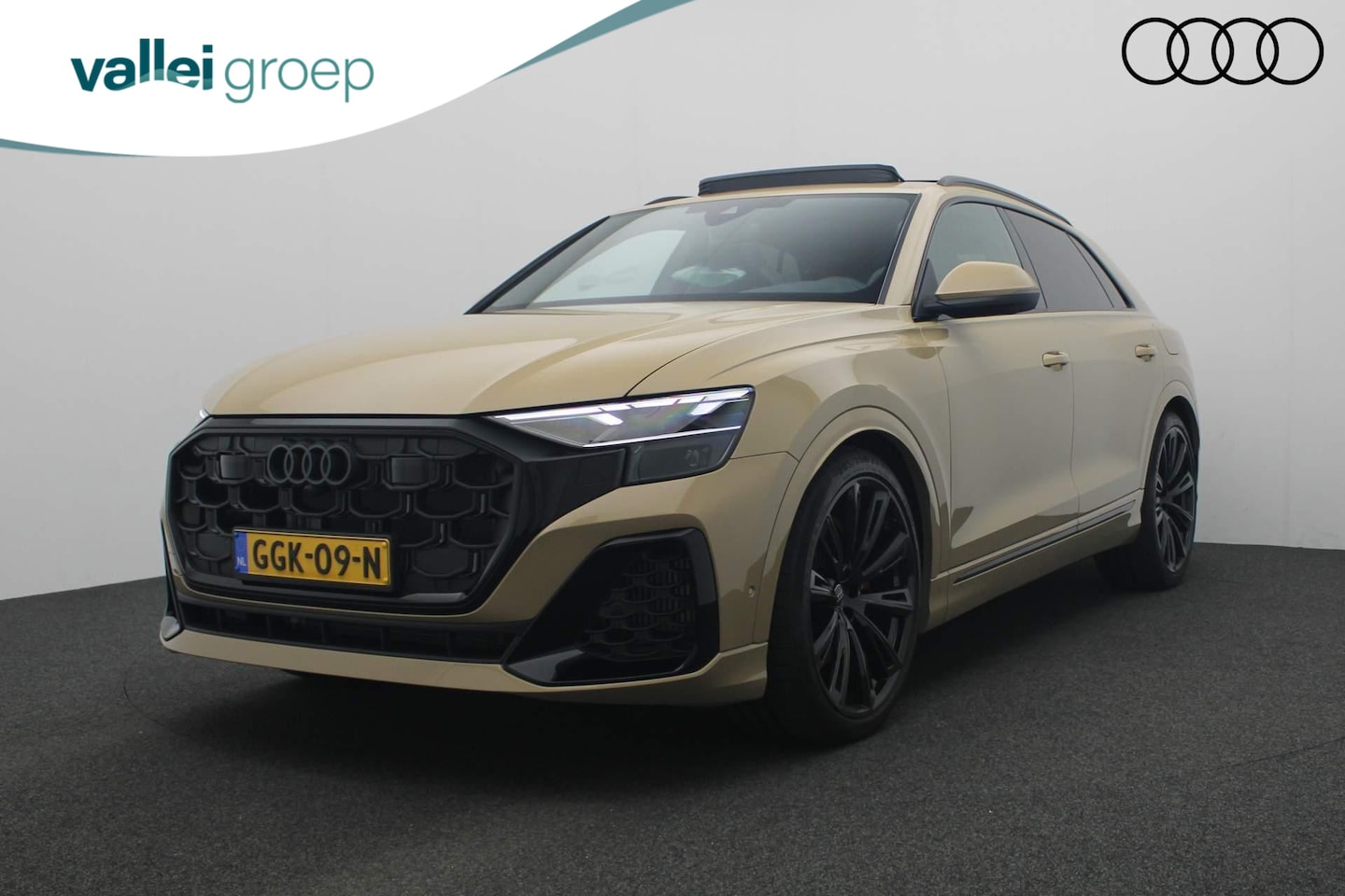 Audi Q8 - 55 TFSI e 394PK S-tronic quattro Pro Line S / S-Line | Pano | Trekhaak | Leder | Matrix LE - AutoWereld.nl
