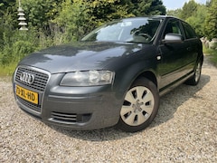 Audi A3 - 1.6 Ambiente, Nieuwe apk, Rijdt goed