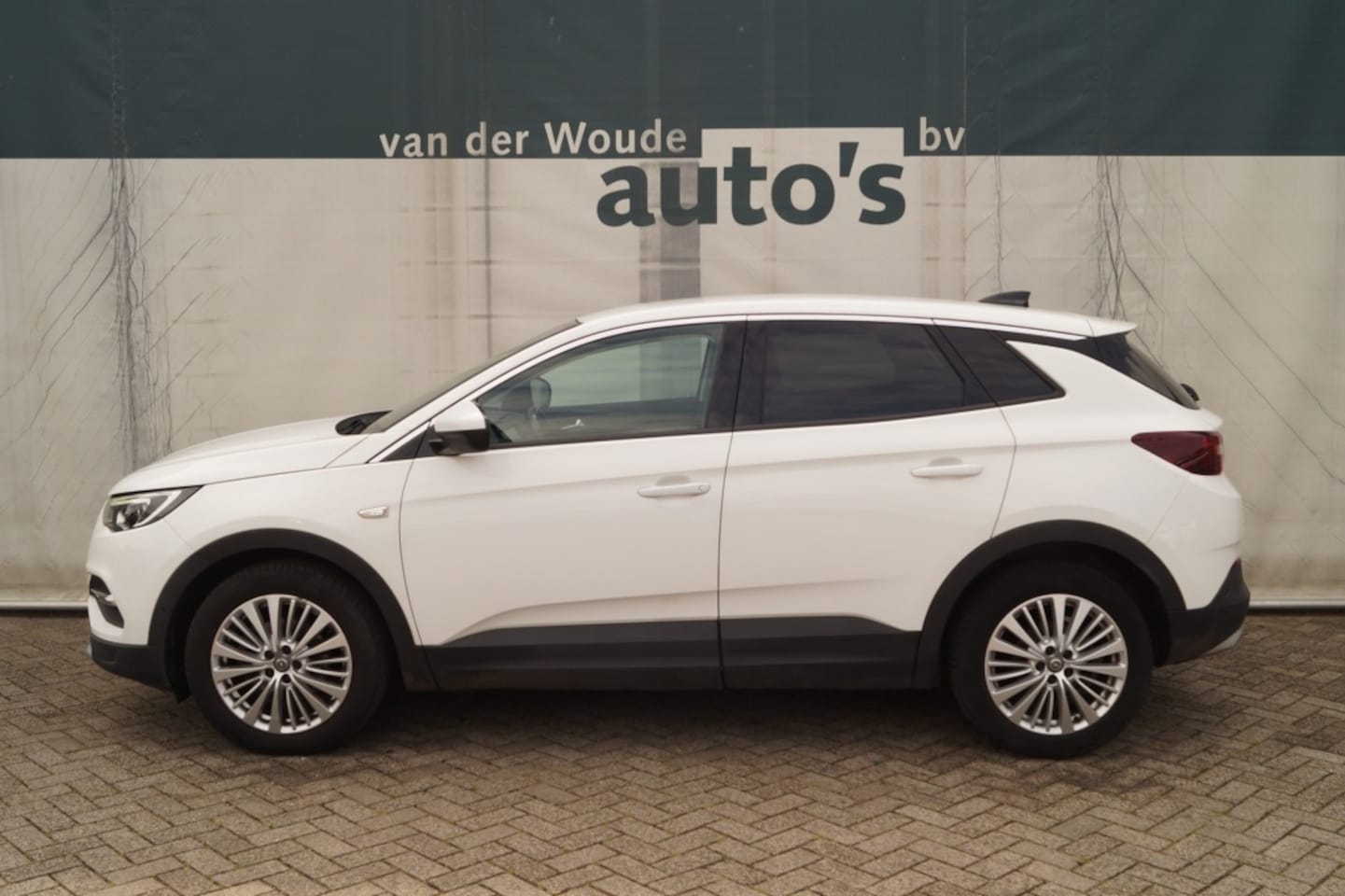 Opel Grandland X - 1.2 Turbo 130pk Automaat Business Executive -NAVI- - AutoWereld.nl