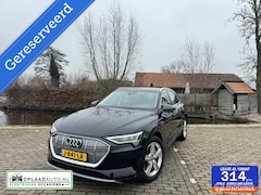 Audi e-tron - 50 quattro edition Plus 71 kWh | Pano | trekhaak