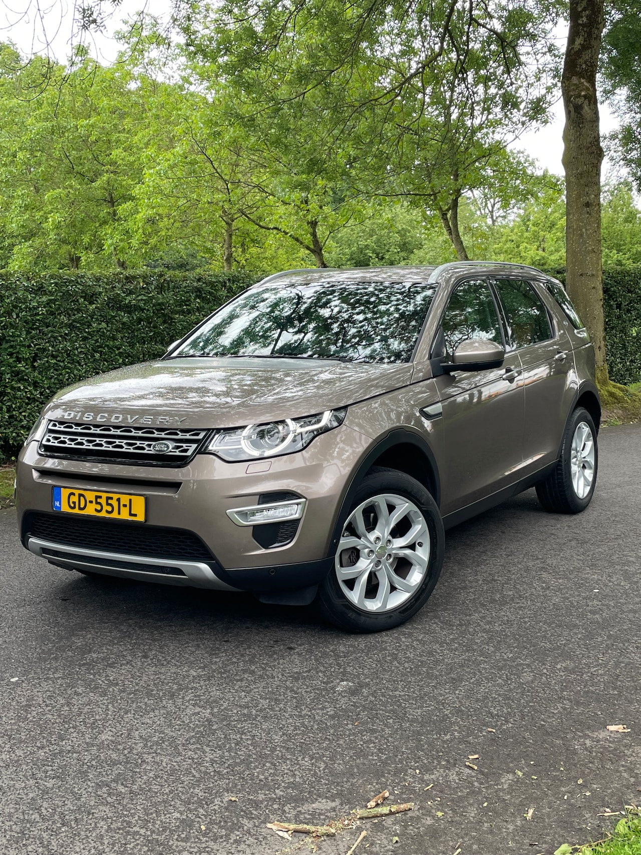 Land Rover Discovery Sport - 2.0 Si4 4WD HSE Luxury - AutoWereld.nl
