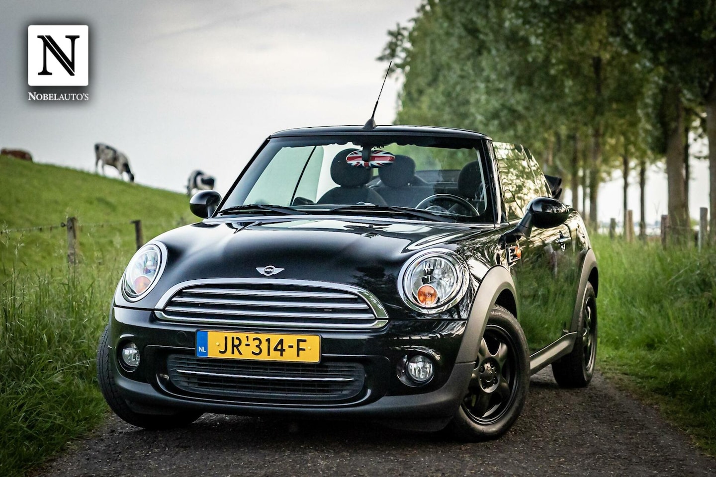 MINI Cabrio - 1.6 Cooper Pepper | Cabrio | Stoelverwarming - AutoWereld.nl