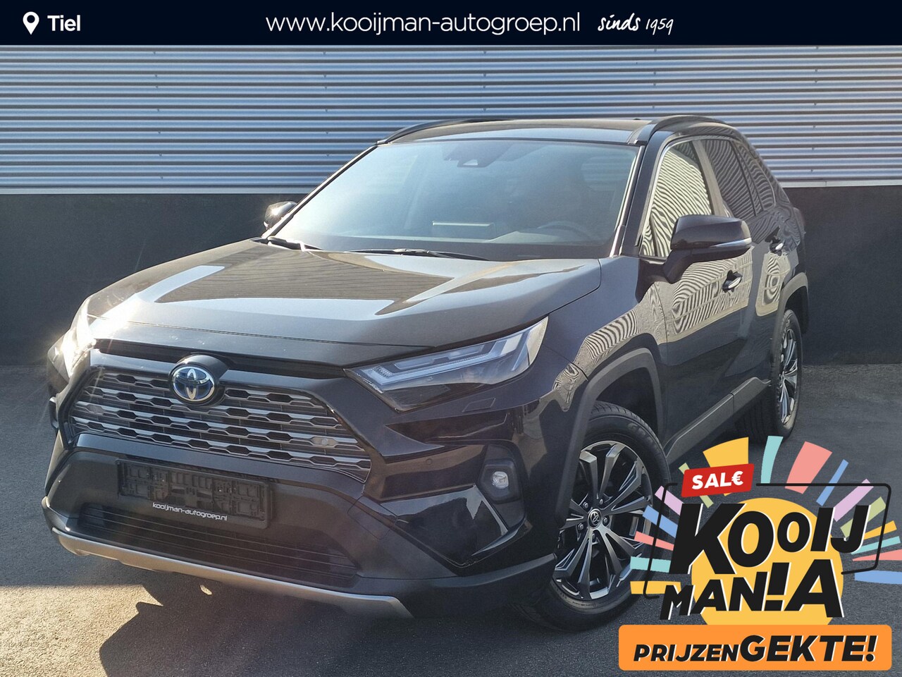 Toyota RAV4 - 2.5 Hybrid AWD Executive Schuif/kanteldak / panorama dak | Stoel- & Stuurwielverwarming, D - AutoWereld.nl