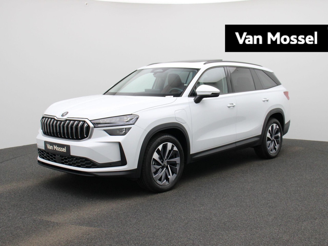 Skoda Kodiaq - 1.5 TSI PHEV Business Edition | Automaat | LED Koplampen | Navigatie | Panoramisch glazen - AutoWereld.nl