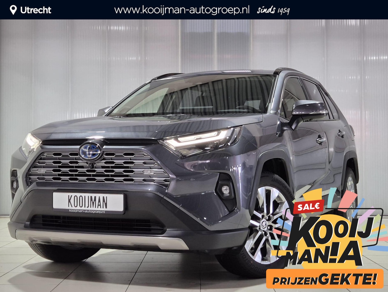 Toyota RAV4 - 2.5 Hybrid AWD Executive | 360° camera | Stoelverwarming | JBL Premium audio | Elektr. bed - AutoWereld.nl
