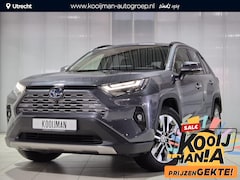 Toyota RAV4 - 2.5 Hybrid AWD Executive | 360° camera | Stoelverwarming | JBL Premium audio | Elektr. bed
