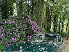 Rolls-Royce Silver Shadow - ABSOLUUT IN TOPCONDITIE! VOLSTREKT  UNIEK. UIT VERZAMELING. TAX: 50.000,