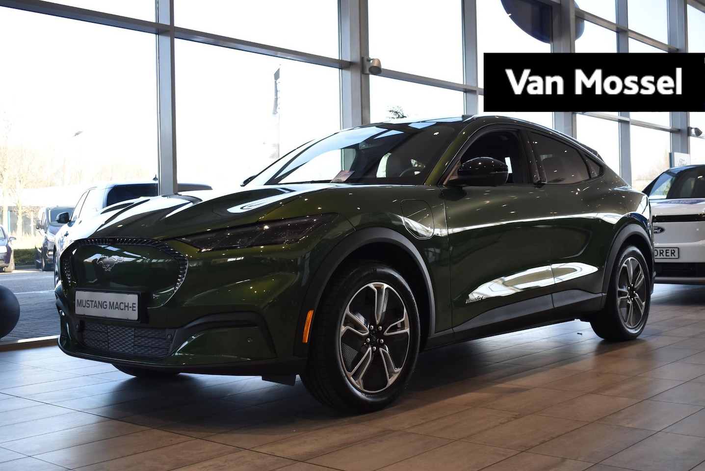 Ford Mustang Mach-E - Standard RWD 75 kWh | €2000.- Korting Ford Nederland | Technology Pack + | Incl. Ford Prot - AutoWereld.nl