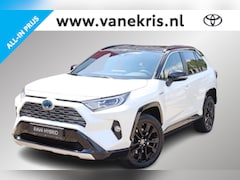 Toyota RAV4 - 2.5 Hybrid Bi-Tone, Innovation pack, Suede