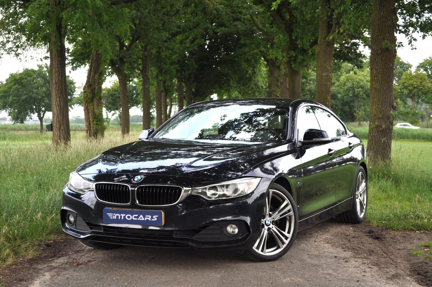 BMW 4-serie Gran Coupé - 430d Executive | LEDER/19 INCH/Elektr.Stoel. - AutoWereld.nl