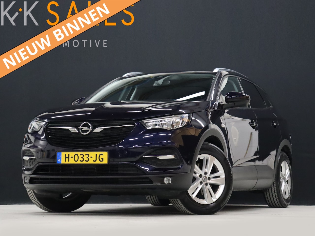 Opel Grandland X - 1.2 Turbo Business Executive [APPLE CARPLAY, STUUR EN STOELVERWARMING, CLIMATE CONTROL, CR - AutoWereld.nl