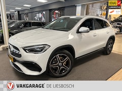 Mercedes-Benz GLA-Klasse - 250 e AMG Line / camera / Navigatie / sfeer verlichting / led verlichting