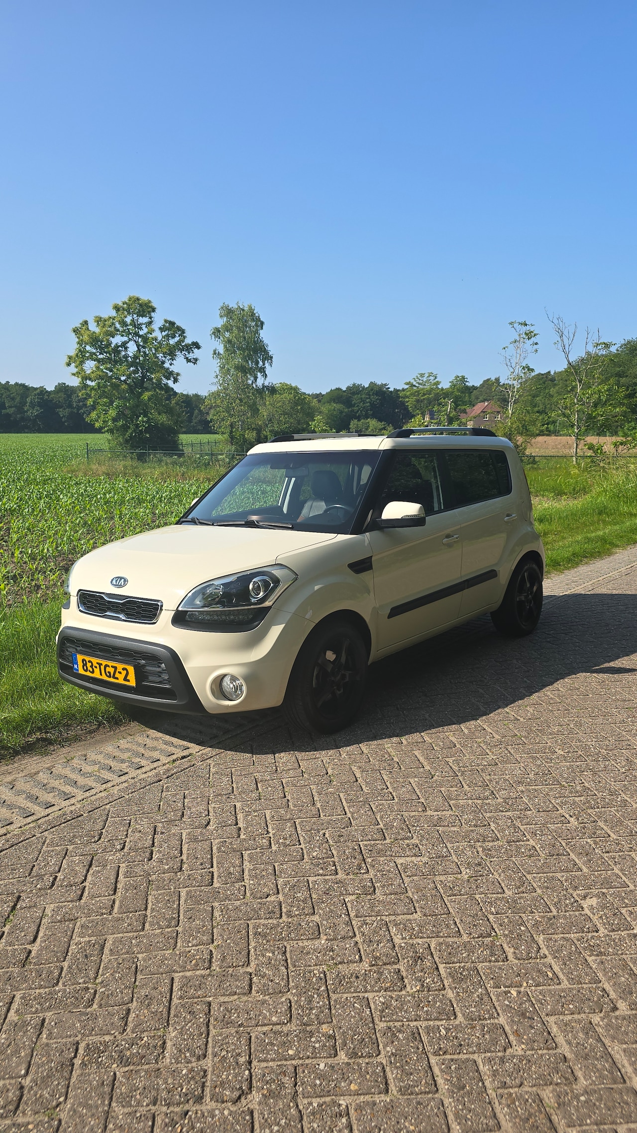 Kia Soul - 1.6 Rhythm - AutoWereld.nl
