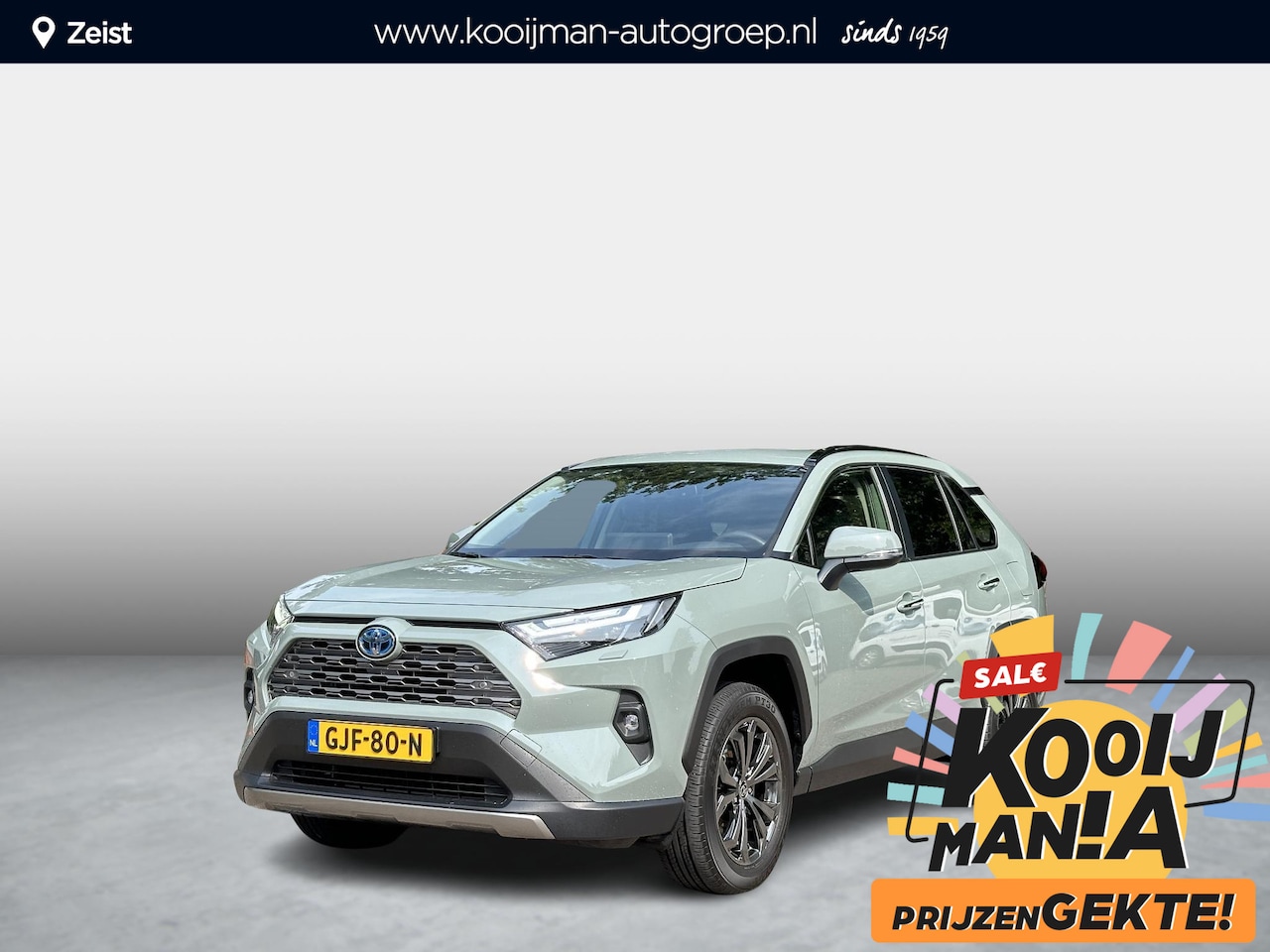 Toyota RAV4 - 2.5 Hybrid AWD Executive | Trekhaak | Dodehoek detectie | Achteruitrij camera | Keyless | - AutoWereld.nl