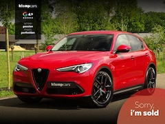Alfa Romeo Stelvio - 2.0 T AWD Sport | Brembo | Eibach | 310PK | Miron 20 inch