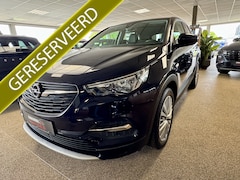 Opel Grandland X - 1.2 Turbo Innovation PDC, Electrische achterklep, Half Leder, Cruise