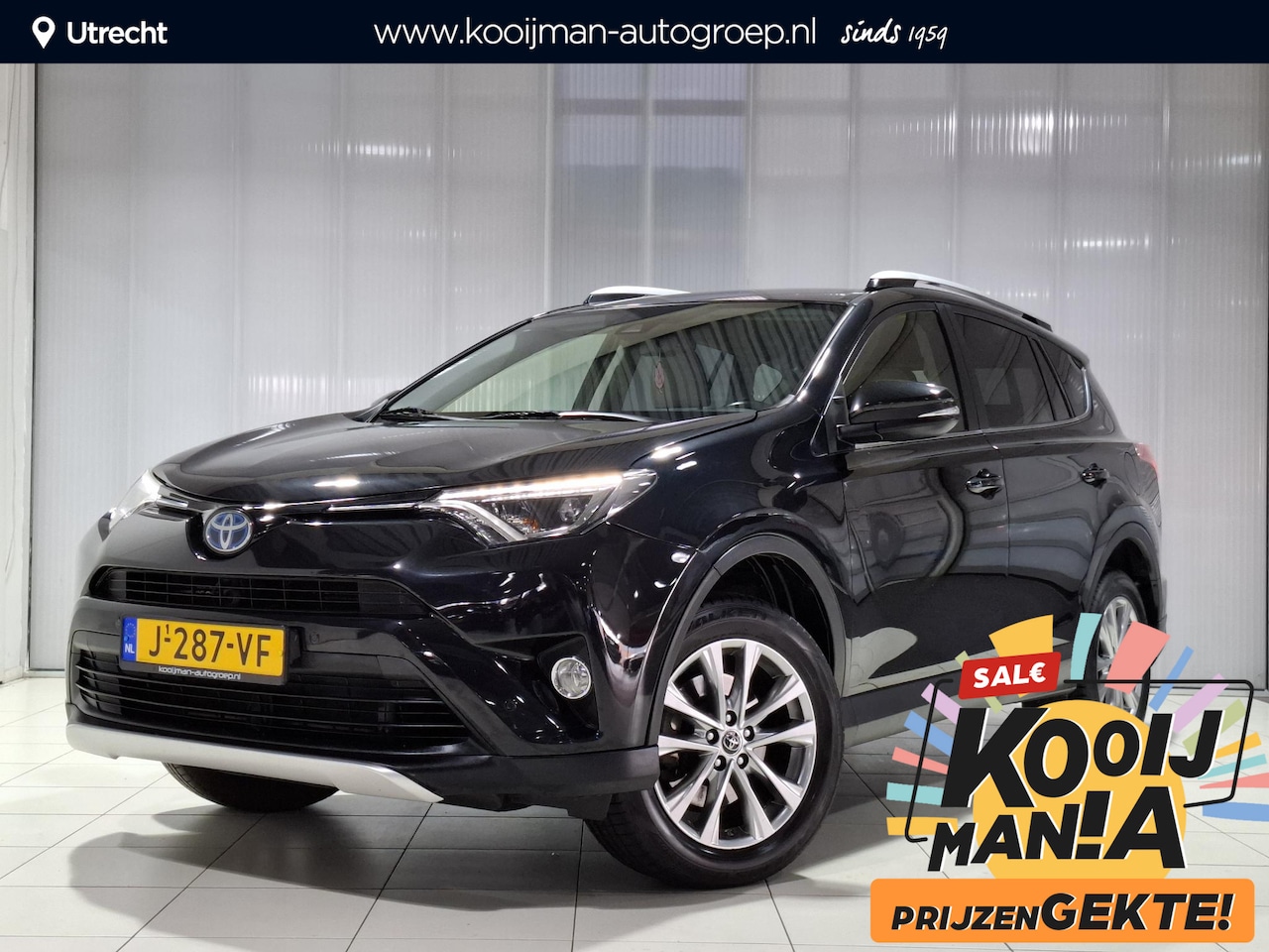 Toyota RAV4 - 2.5 Hybrid Executive Business | Leer | Navigatie | Nette auto | - AutoWereld.nl