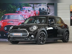 MINI One - 1.5 Salt AUTOMAAT