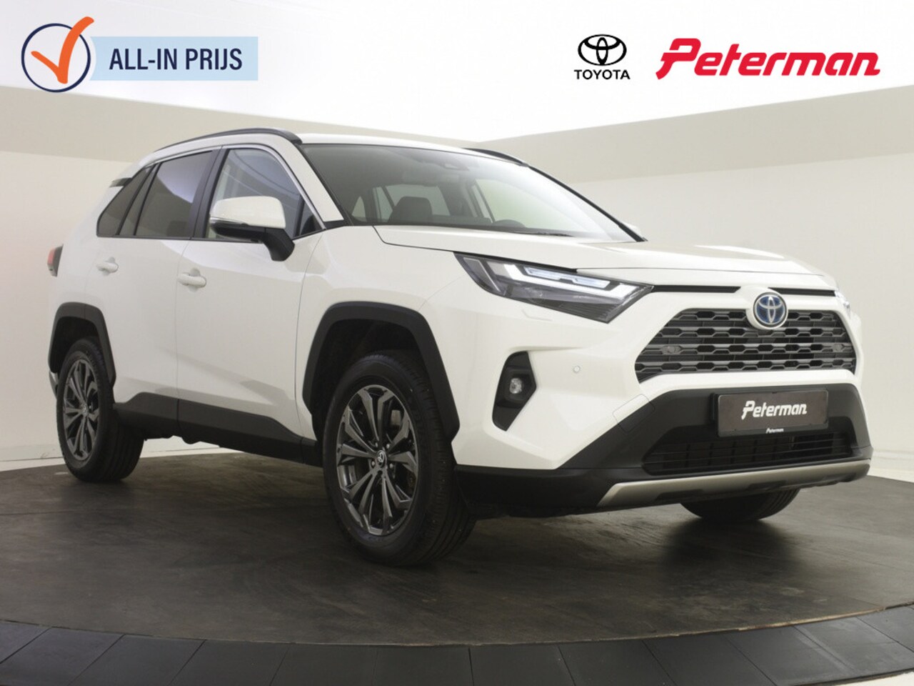 Toyota RAV4 - 2.5 Hybrid AWD Executive | Trekhaak | JBL | BLS | PDC V+A - AutoWereld.nl