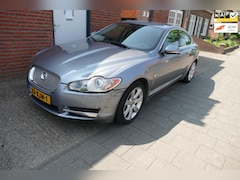 Jaguar XF - 3.0D V6 Luxury