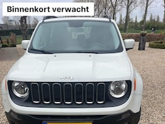 Jeep Renegade - 1.4 MultiAir Freedom
