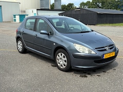 Peugeot 307 - 1.6-16V XS