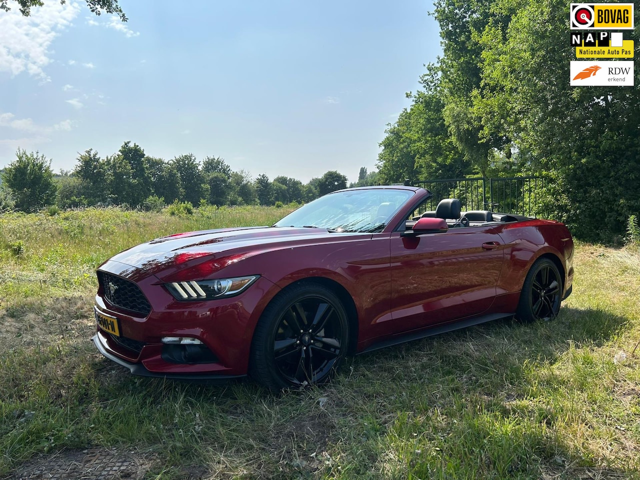 Ford Mustang Convertible - 2.3 automaat, 315 PK, zeer mooie staat auto. - AutoWereld.nl