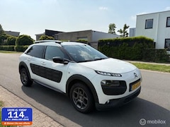 Citroën C4 Cactus - 1.2 PureTech Business Plus