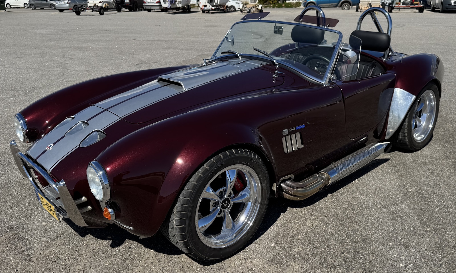 Shelby GT500 - Shelby Cobra FF MK4 - AutoWereld.nl