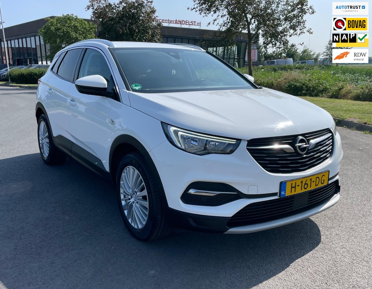 Opel Grandland X - 1.2 Turbo Business Executive 1.2 Turbo Business Executive, Aut, Trekhaak, Cam, 1e eig, Geen import, Nap, Dealer oh! - AutoWereld.nl