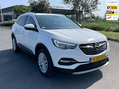 Opel Grandland X - 1.2 Turbo Business Executive, Aut, Trekhaak, Cam, 1e eig, Geen import, Nap, Dealer oh