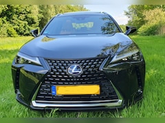 Lexus UX - 250h Executive Line hybrid, 10'000 km, 184pk, MatrixLED, Schuifdak, 360gr camera, Headup displ, afn. Trekhaak