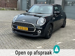 MINI One - 1.5 Pepper