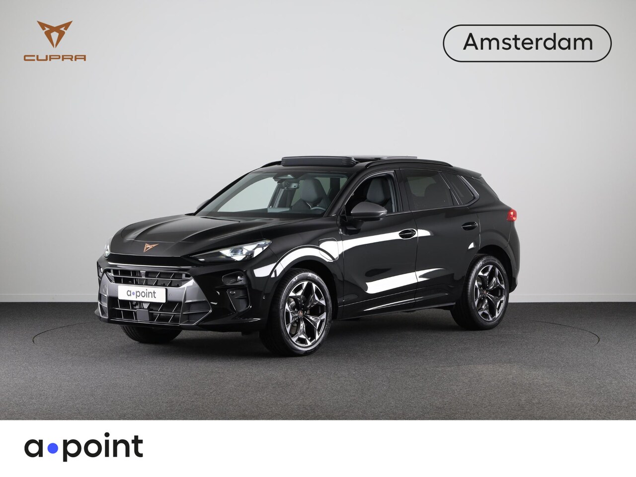 CUPRA Terramar - 1.5 TSI e-Hybrid Business 204pk | Panoramadak | Senheisser Sound | Elek. verstelbare stoel - AutoWereld.nl