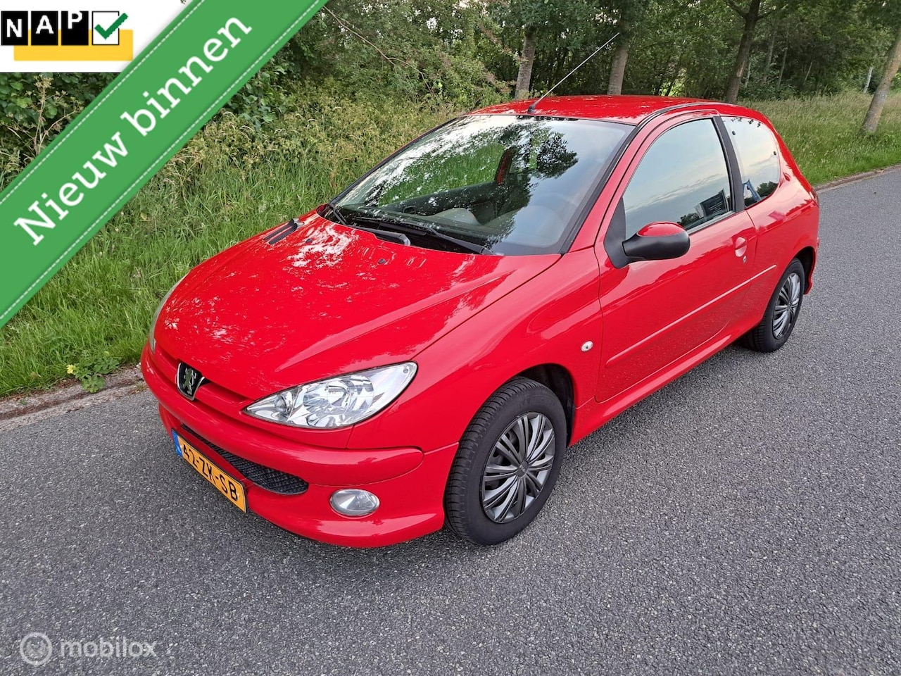 Peugeot 206 - 1.4 Forever # Met Nieuwe APK! - AutoWereld.nl