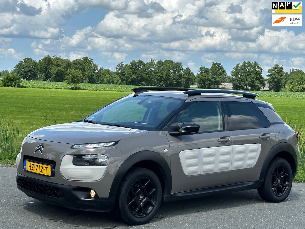 Citroën C4 Cactus - 1.6 BlueHDi Shine | Automaat | Nap | Leer - AutoWereld.nl